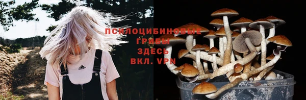 молекула духа Алексеевка