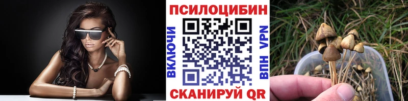 как найти закладки  мориарти клад  Псилоцибиновые грибы мицелий  Керчь 
